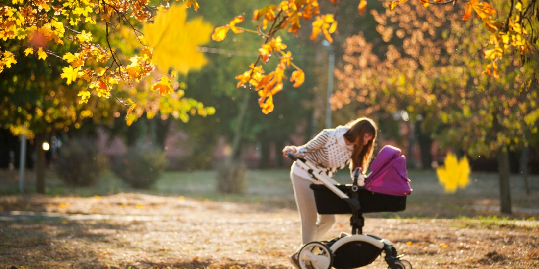 Canva - Woman In Grey Pants Holding Black And Purple Stroller